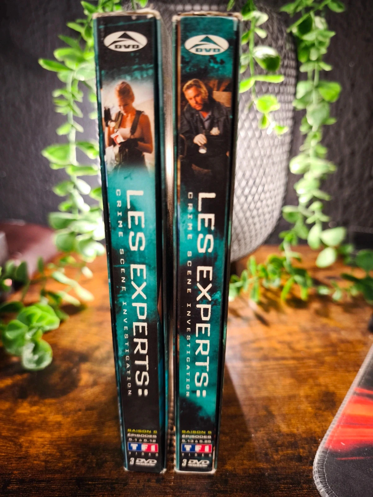 Les experts saison 5 – photo 5